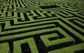 The Maze